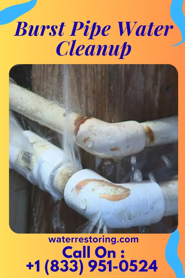 Burst Pipe Water Cleanup in Black Rock, NM