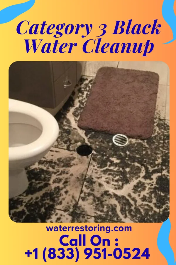 Category 3 Black Water Cleanup in Black Rock, NM
